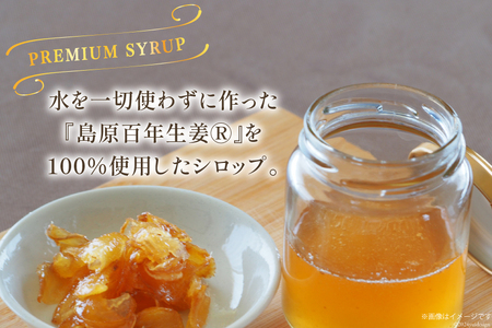 AI201 ジンジャー シロップ 250g 2本 計500g [長崎県 島原市]