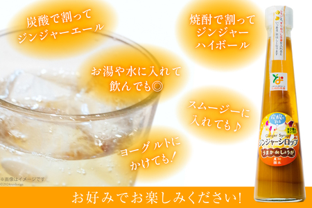 AI201 ジンジャー シロップ 250g 2本 計500g [長崎県 島原市]