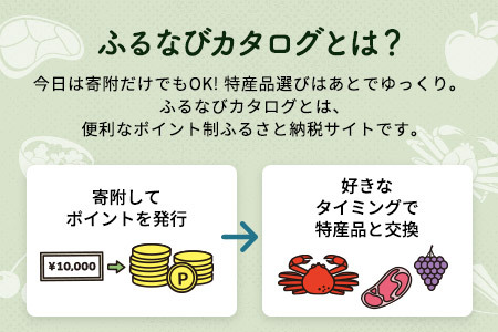 【有効期限なし！後からゆっくり特産品を選べる】長崎県島原市カタログポイント