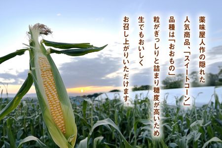 AI378 スイートコーン 10〜12本 L〜2Lサイズ おおもの [長崎県 島原市]