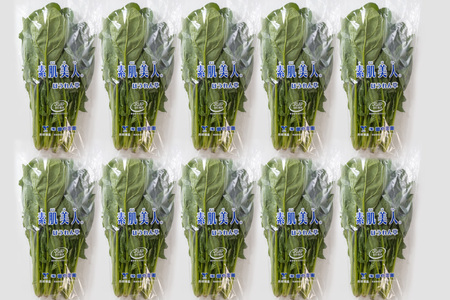 AI323 定期便 3回 ほうれん草 10束 [長崎県 島原市]