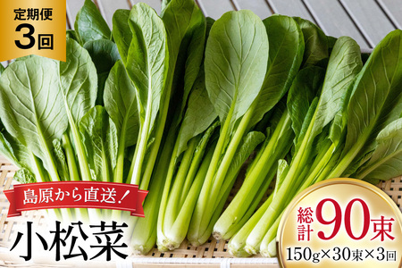 AI332 定期便 3回 小松菜 30束 [長崎県 島原市]