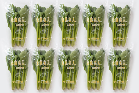 AI329 定期便 3回 小松菜 10束 [長崎県 島原市]