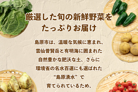 AJ433 【3回定期便】【10～12月限定出荷】こむたの旬の野菜 (8～10品目) おまかせMセット [長崎県 島原市]