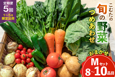 AJ434 【5回定期便】【1～5月限定出荷】こむたの旬の野菜 (8～10品目) おまかせMセット [長崎県 島原市]
