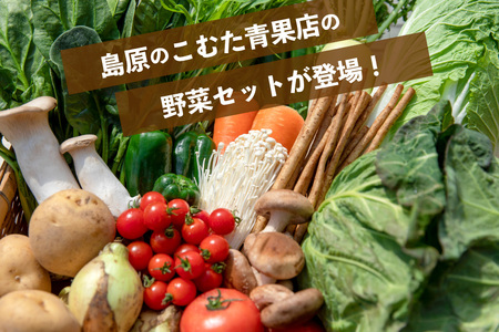 AJ435 【3回定期便】【1～3月限定出荷】こむたの旬の野菜 (13～15品目) おまかせLセット [長崎県 島原市]