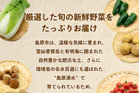 AJ435 【3回定期便】【1～3月限定出荷】こむたの旬の野菜 (13～15品目) おまかせLセット [長崎県 島原市]