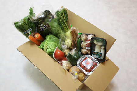 AJ435 【3回定期便】【1～3月限定出荷】こむたの旬の野菜 (13～15品目) おまかせLセット [長崎県 島原市]