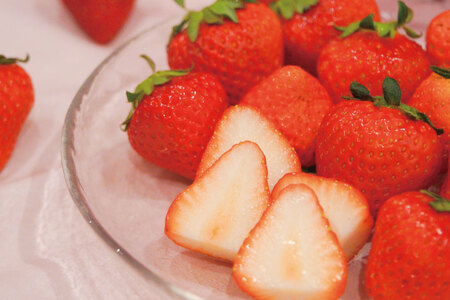 AJ437 【2025年12月発送開始】 いちご ほおばるベリー 約 500g ( 250g 2パック ) [長崎県 島原市]