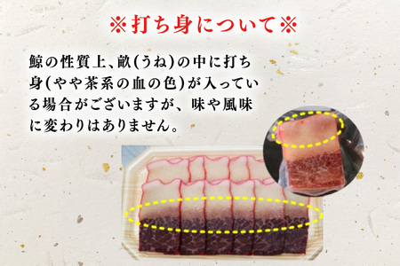 BJ146 ベーコン ブロック 100g×4個セット 計400g [ 長崎県 島原市 ]