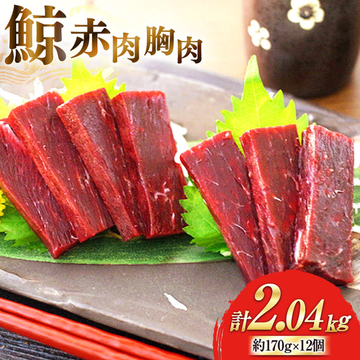 BJ138 赤肉胸肉 170g×12個セット 計2.04kg [ 長崎県 島原市 ]
