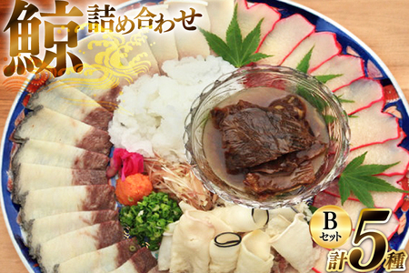 BJ155 美味しい 鯨 5種詰め合わせBセット 計520g( 大和煮 オバ ベーコンスライス 湯かけくじら さえずりスライス )[ 長崎県 島原市 ]