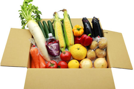 AJ314 季節の野菜・果物セット 8～10品 しそジュース付き [ 野菜 詰合せ 長崎県 島原市 ]