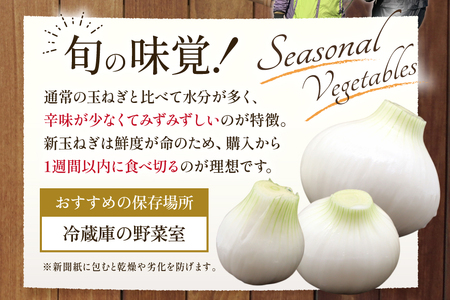 AJ113 【訳あり】 湧水の里 モリファーム 新玉ねぎ 3kg 不揃い (S～Lサイズ混合) [ 長崎県島原市 ]