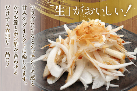 AJ113 【訳あり】 湧水の里 モリファーム 新玉ねぎ 3kg 不揃い (S～Lサイズ混合) [ 長崎県島原市 ]