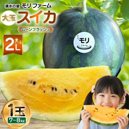 AJ457 【令和8年度出荷分】 湧水の里 モリファーム 大玉スイカ ムーンフラッシュ 2L 7～8kg 1玉 [ 長崎県 島原市 ]