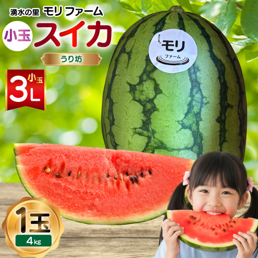 AJ460 【令和8年度出荷分】 湧水の里 モリファーム 小玉スイカ うり坊 3L 4kg 1玉 [ 先行予約 数量限定 小玉 うり坊 スイカ 西瓜 フルーツ 果物 長崎 長崎県 島原市 ]