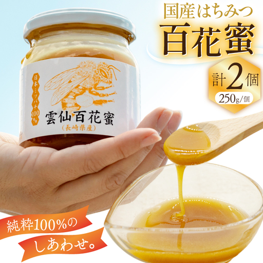 AJ444 はちみつ 国産 百花蜜 250g 2個 日本ミツバチ 純粋 100% [ 安中梅林を育てる会 蜂蜜 ハチミツ 非加熱 無添加 長崎県 島原市 ]