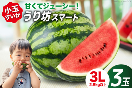 AJ637 【令和8年度出荷分】 まるき農園 うり坊スマート 3Lサイズ(2.8kg以上) 3玉 [ スイカ すいか 西瓜 小玉 小玉スイカ うり坊 ウリ坊 うりぼう ウリボー まるき農園 長崎県 島原市] 6,570円