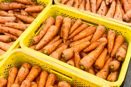 AJ463 【令和9年出荷分】 にんじん 宮崎さんのフルーツ人参 5kg