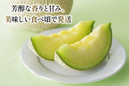 AJ651 【令和8年7-8月出荷分】 堀農園 マスクメロン 2玉