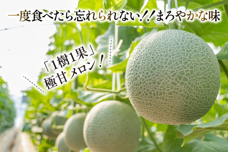 AJ651 【令和8年7-8月出荷分】 堀農園 マスクメロン 2玉