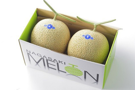 AJ651 【令和8年7-8月出荷分】 堀農園 マスクメロン 2玉