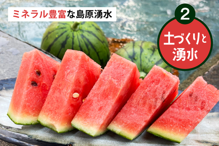 AJ698 【令和8年出荷分】 Farm honda 大玉スイカ 1玉 8kg以上 