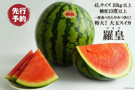 AE168【令和4年度出荷分】超特大!大玉スイカ~羅皇(ラオウ)~(4Lサイズ10kg以上)