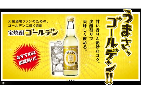 BE175宝焼酎「ゴールデン」25度 360ml×12本入