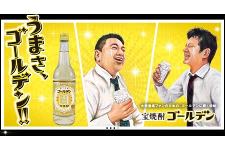 BE175宝焼酎「ゴールデン」25度 360ml×12本入