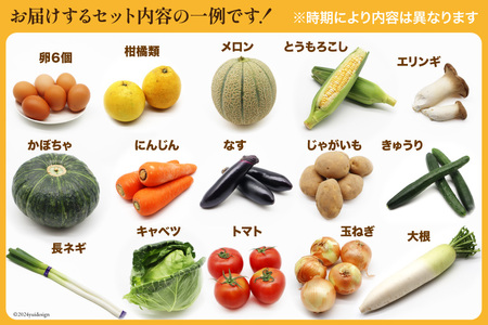 BE236 旬の野菜・フルーツ (12～14品目)・卵 (6個) おまかせ セット【 野菜 果物 卵 やさい くだもの 果物 タマゴ たまご 詰め合わせ フードショップ江戸屋 長崎県 島原市 】 レビューキャンペーン