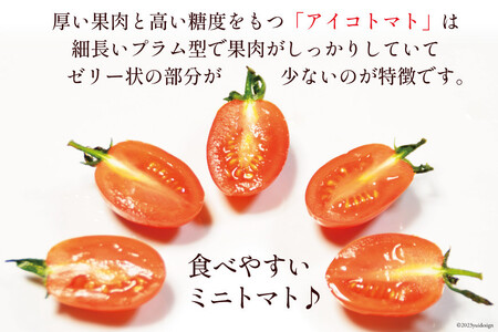 AF014 全国にファンがいる高級フルーツトマト たっぷり！アイコ 1kg
