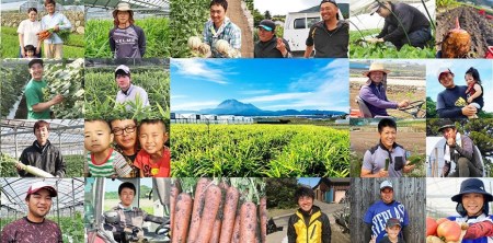 BF112 10月下旬から出荷!「幻の朝どれホワイトコーン!」Mサイズ以上×18本以上【全国的にも珍しい秋季出荷】