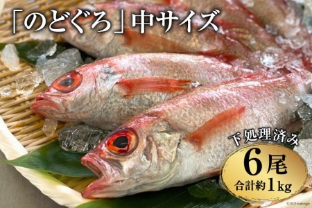 CF091「のどぐろ」中サイズ（160～180g） 6尾　＜煮付け・塩焼き用＞