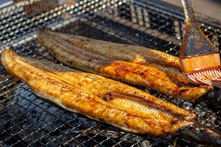 AF116【国産・数量限定】職人の本格炭火手焼きうなぎ4尾約600g【随時発送】