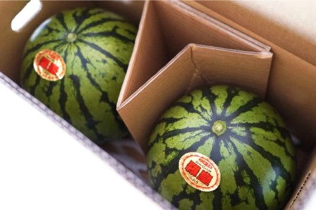 CF164【令和8年度出荷分】秋季出荷！大玉スイカ～羅皇（ラオウ）～（Lサイズ6kg以上×2玉入）[長崎県 島原市]