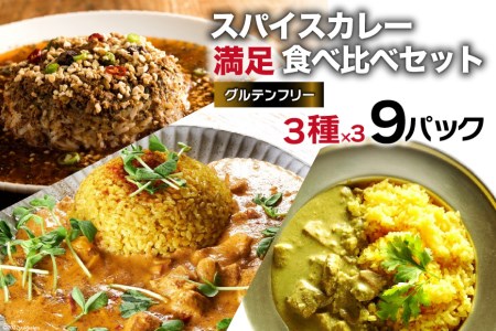 AG028スパイスカレー 満足食べ比べセット 3種類 150g×各3 計9パック