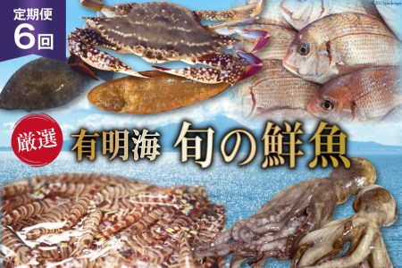 BG065【定期便】有明海 旬の鮮魚 漁協おすすめ 海の幸定期便 計6回