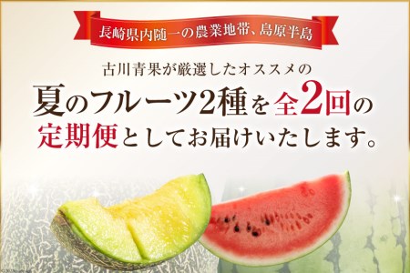 AG131【令和8年度出荷分】 全2回 厳選！夏の人気フルーツ定期便