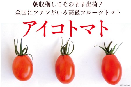 AG136【3回定期便】全国にファンがいる高級フルーツトマト たっぷり！アイコ 1kg