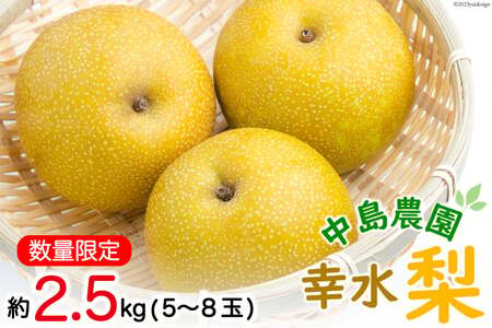 BH004【令和7年度出荷分】【数量限定】 幸水梨 約2.5kg（5玉～8玉）［新鮮 農家直送 夏の味覚 贅沢宝庫 フルーツ]