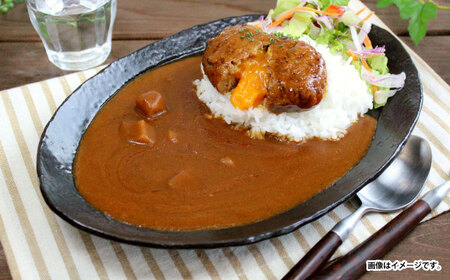 レトルトカレー 中辛40食分 / 日本ハム レトルトカレーレトルトカレーレトルトカレーレトルトカレー [AHAL003]