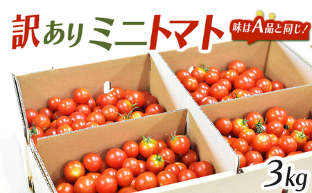 【訳あり】 ミニトマト3kg / 訳あり 訳アリ ミニトマト プチトマト トマト とまと 野菜 やさい / 諫早市 / 原農園 [AHCZ001]