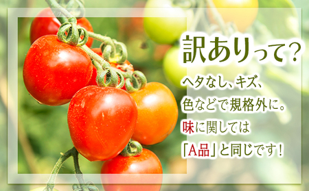 【訳あり】 ミニトマト3kg / 訳あり 訳アリ ミニトマト プチトマト トマト とまと 野菜 やさい / 諫早市 / 原農園 [AHCZ001]