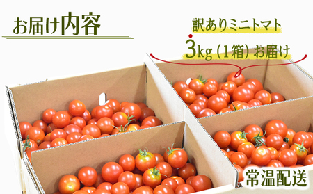 【訳あり】 ミニトマト3kg / 訳あり 訳アリ ミニトマト プチトマト トマト とまと 野菜 やさい / 諫早市 / 原農園 [AHCZ001]