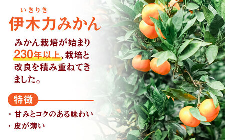 先行予約 伊木力みかん（大玉）10kg / みかん ミカン 蜜柑 フルーツ 果物 / 諫早市 / 山野果樹園 [AHCF005]