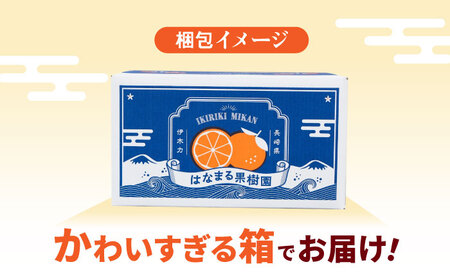 先行予約 伊木力みかん（大玉）10kg / みかん ミカン 蜜柑 フルーツ 果物 / 諫早市 / 山野果樹園 [AHCF005]