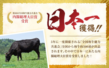 長崎和牛 切り落とし 300g×2パック /長崎県産 長崎和牛 牛肉 和牛 牛 切り落とし / 諫早市 / 有限会社長崎フードサービス [AHDD001]