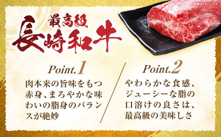 長崎和牛 切り落とし 300g×2パック /長崎県産 長崎和牛 牛肉 和牛 牛 切り落とし / 諫早市 / 有限会社長崎フードサービス [AHDD001]